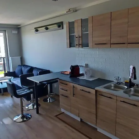 Apartament Gdanski 公寓 格但斯克