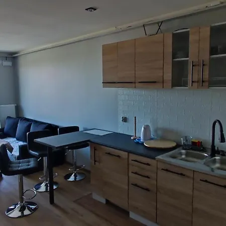 Apartament Gdanski 公寓 格但斯克
