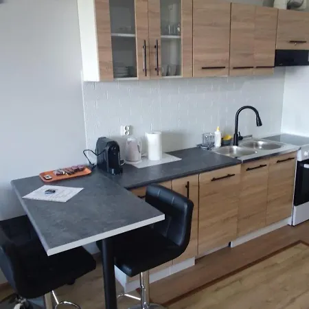شقة Apartament Gdanski غدانسك