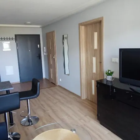 公寓 Apartament Gdanski *