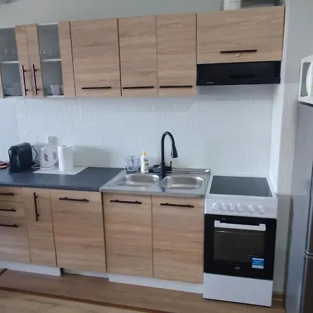 Apartament Gdanski 格但斯克